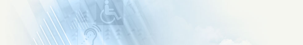 Bender Consulting Services